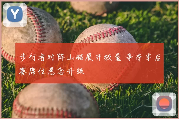 步行者对阵山猫展开较量 争夺季后赛席位悬念升级